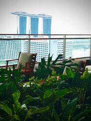 South Beach Residences (D7), Apartment #566843621